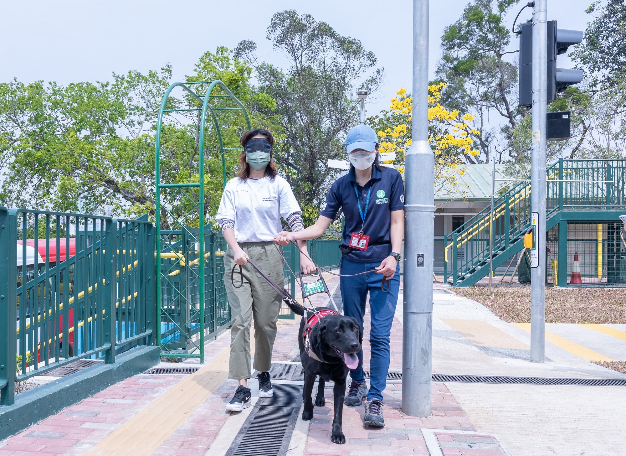 平等機會青年大使在導盲犬訓練學校參與了導盲犬領路體驗活動，領略導盲犬如何充當視障人士的良伴，讓他們自由出行。
